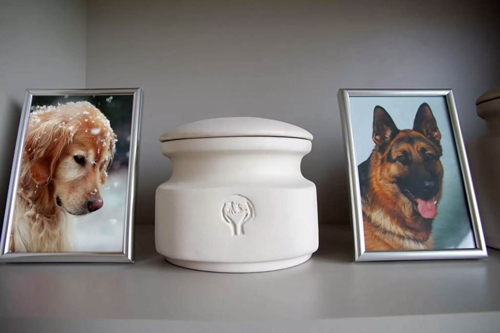 индивидуальная и общая кремация собак